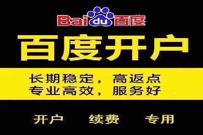 谷歌竞价优化：实战案例分析及策略