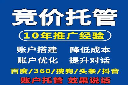 SEM代运营机构成功案例：优化策略与效果分析