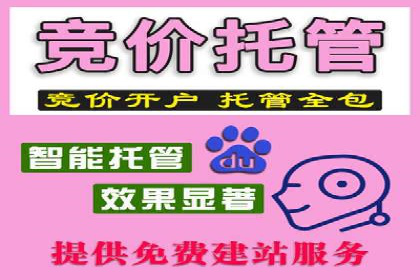 竞价托管SEM在行业中的应用与效果